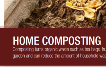 thumbnail-for-home-composting
